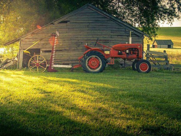 Best Organic Crops: Cultivating Success in South Australia